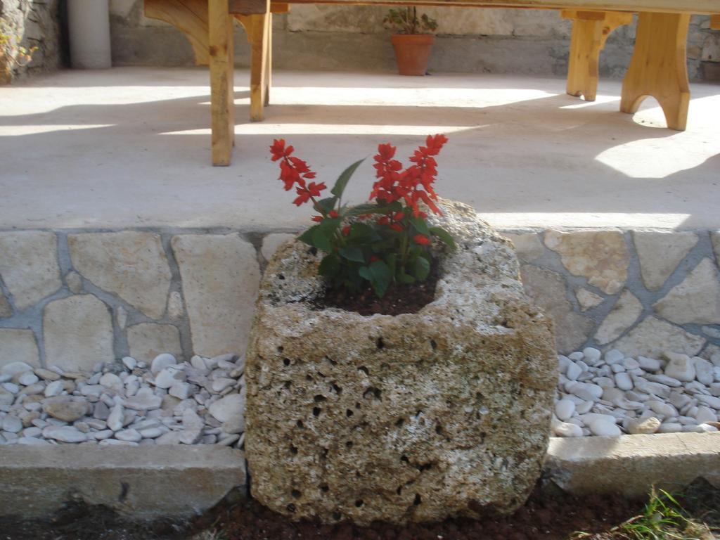 Apartment Premantura Rum bild